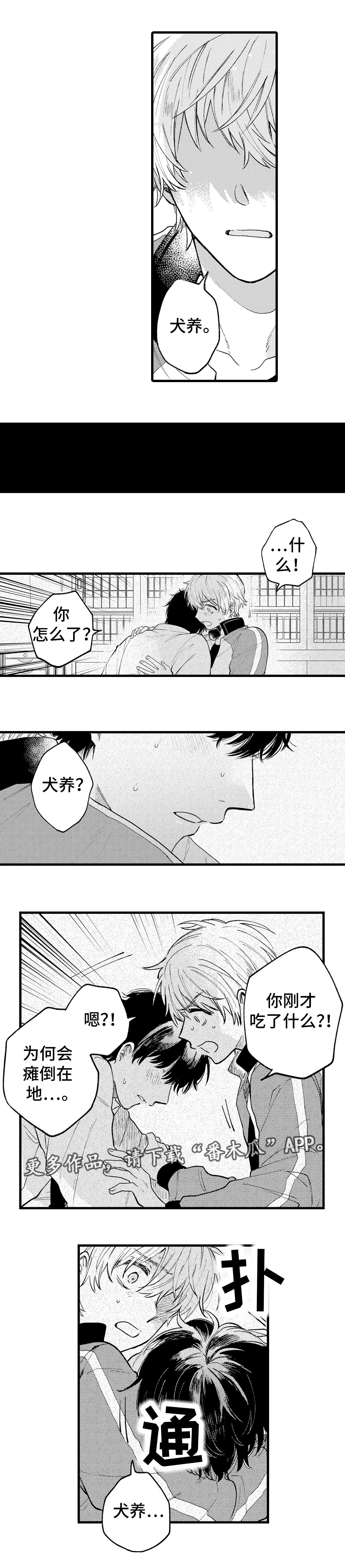 第22章：晕倒7
