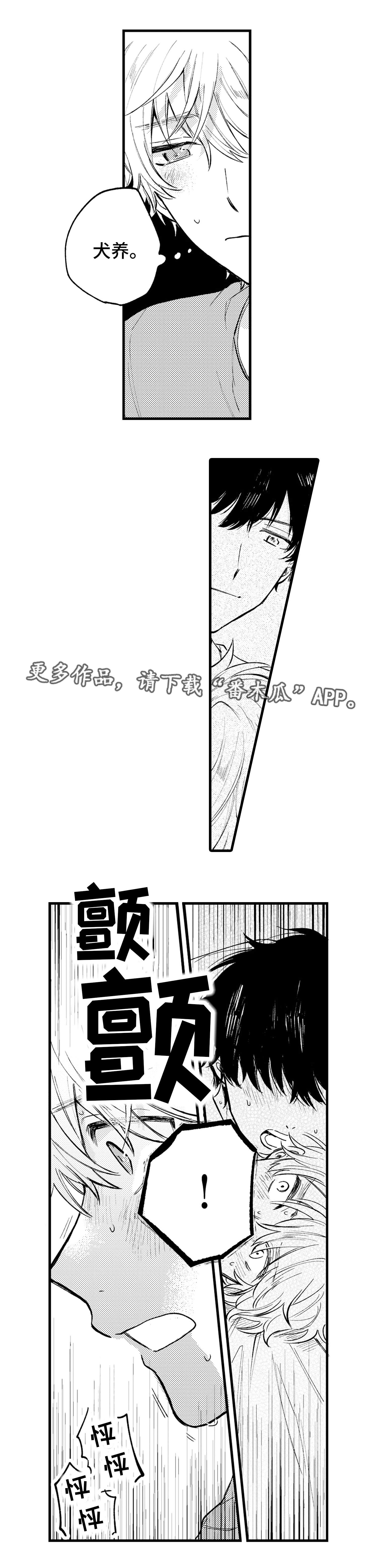 第20章：试剂7