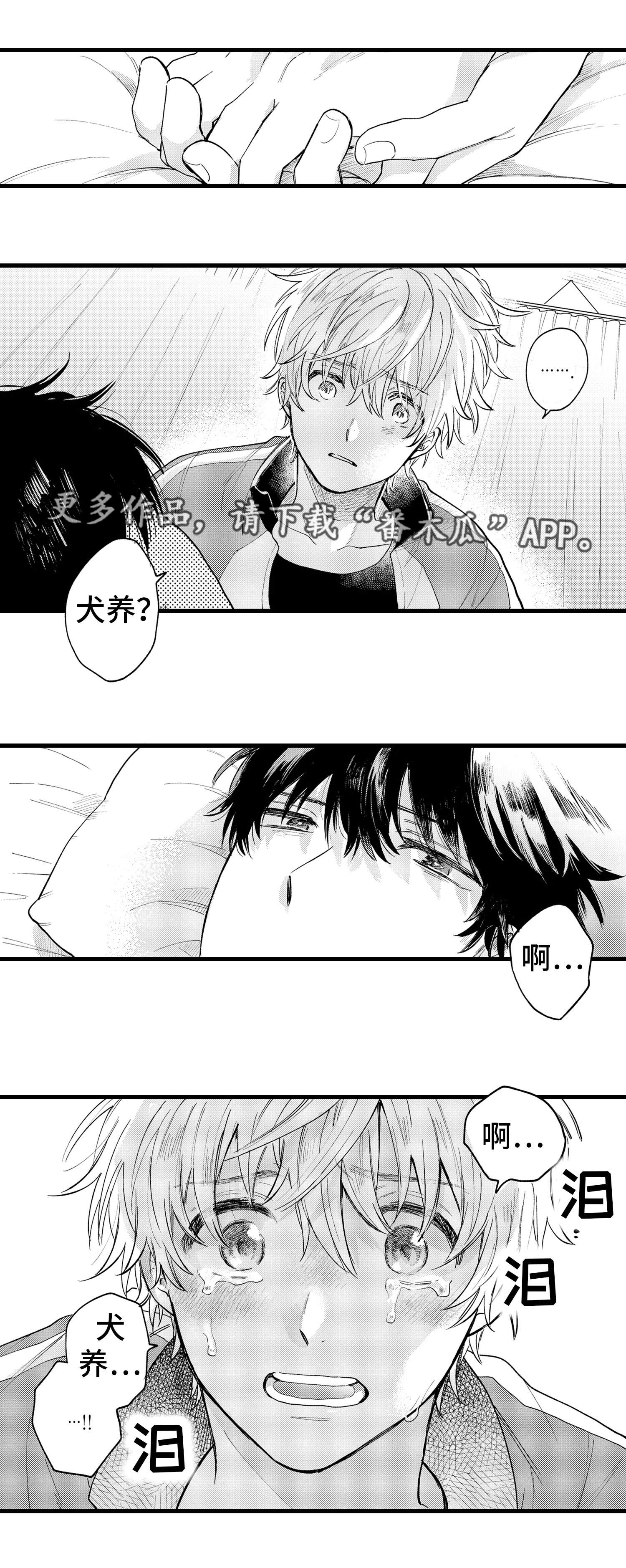 第24章：清醒4