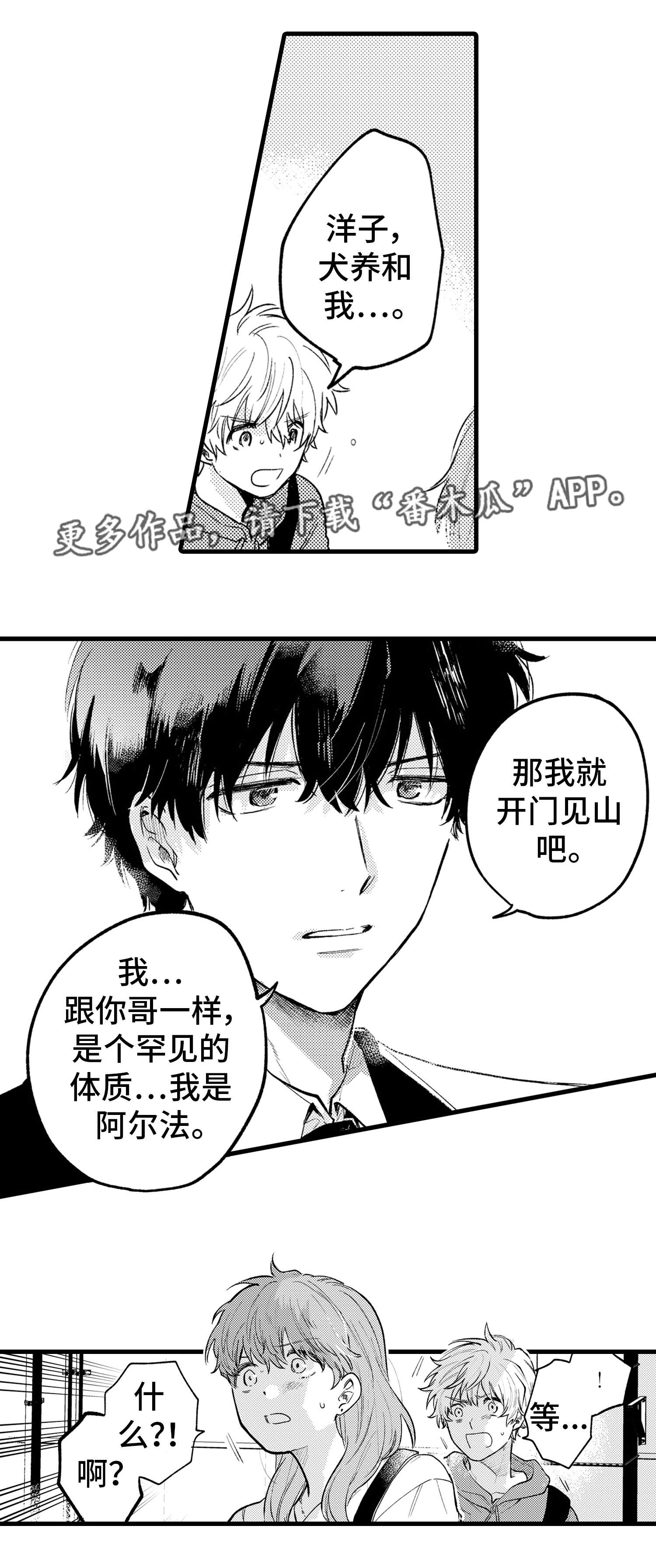 第17章：解释10