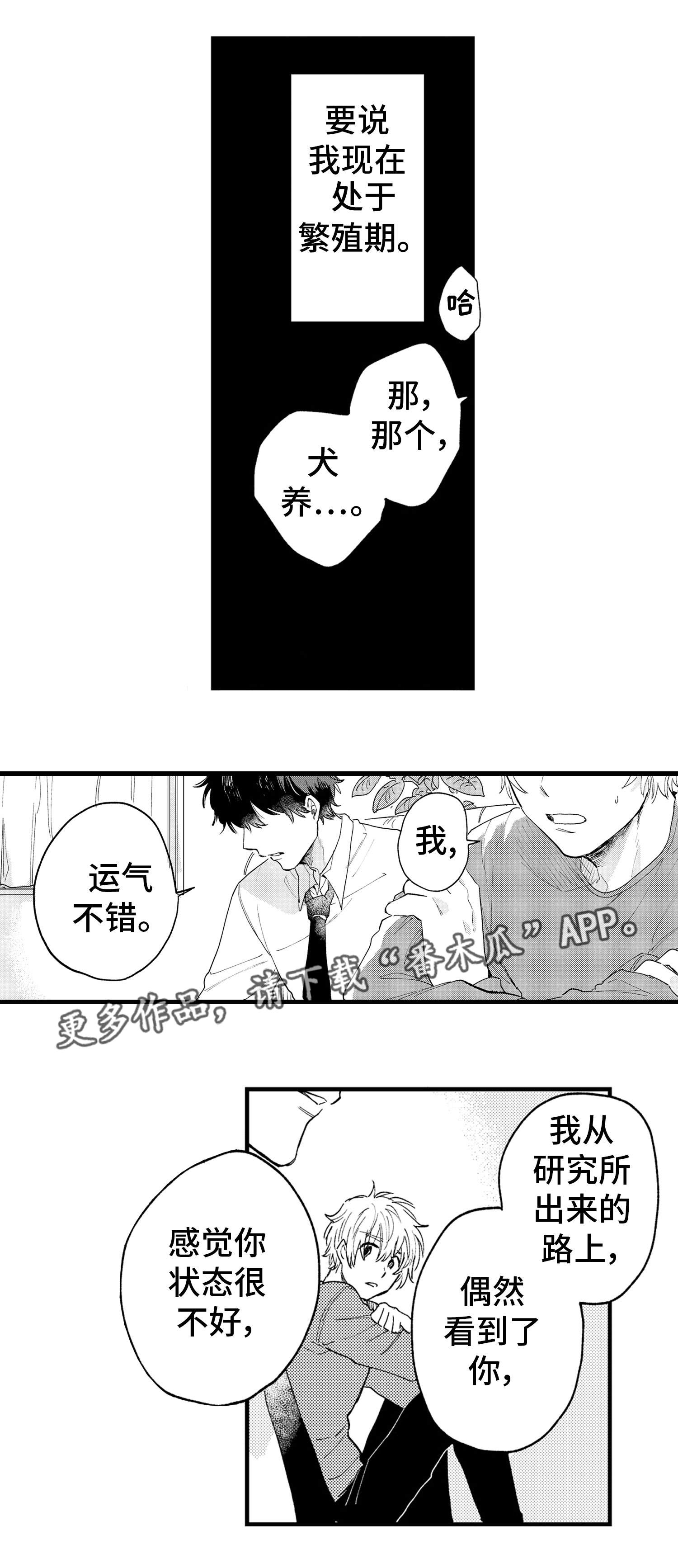 第11章：冷静6