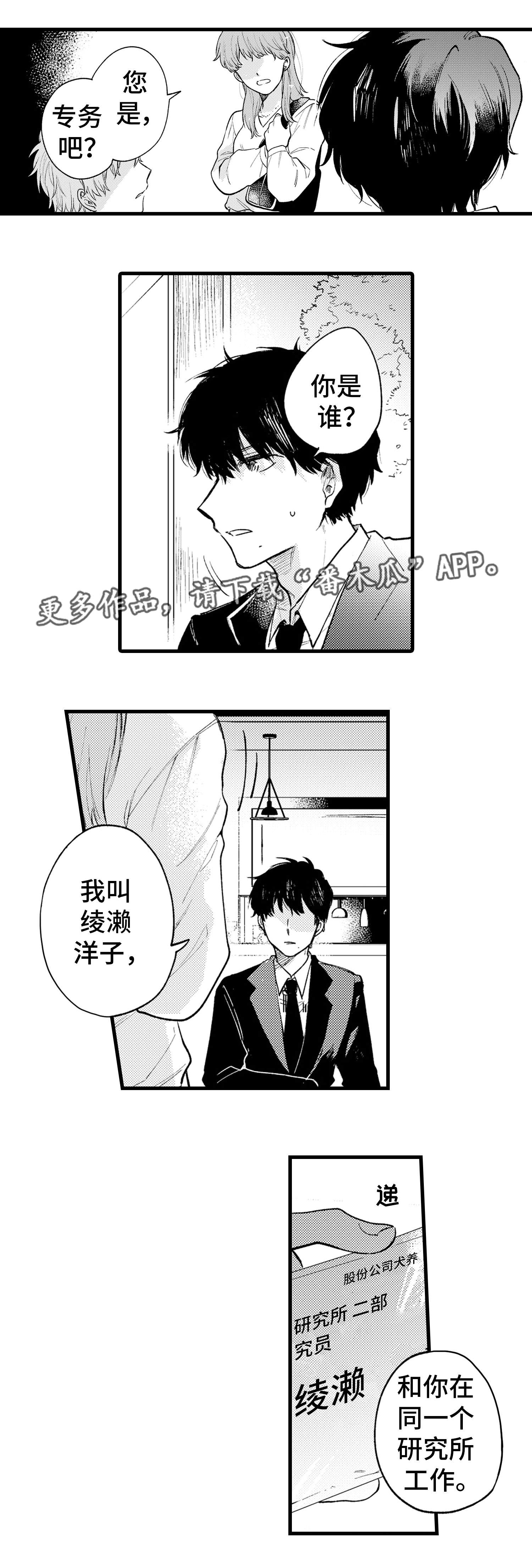 第17章：解释6
