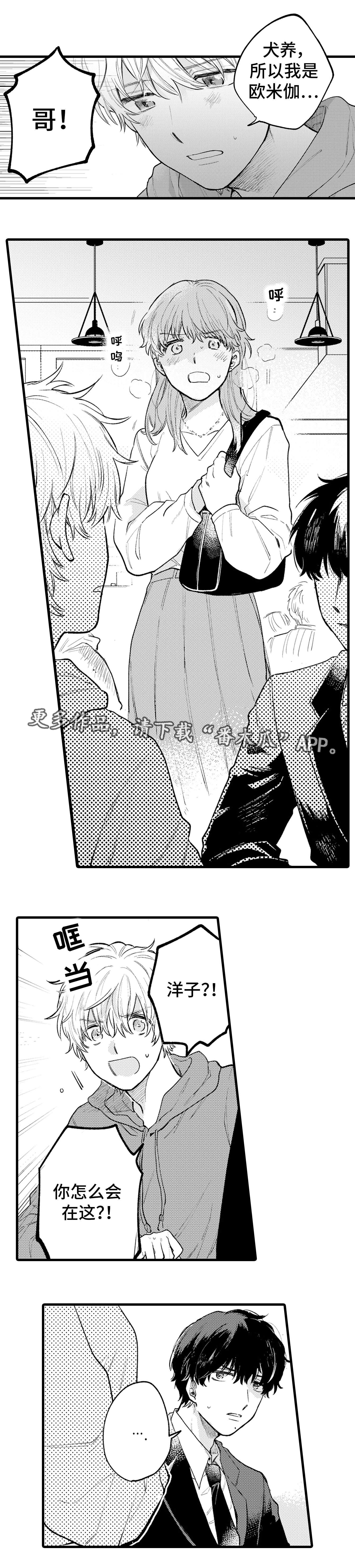 第17章：解释5