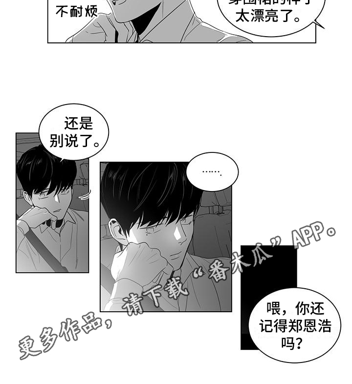第10章：装饰11