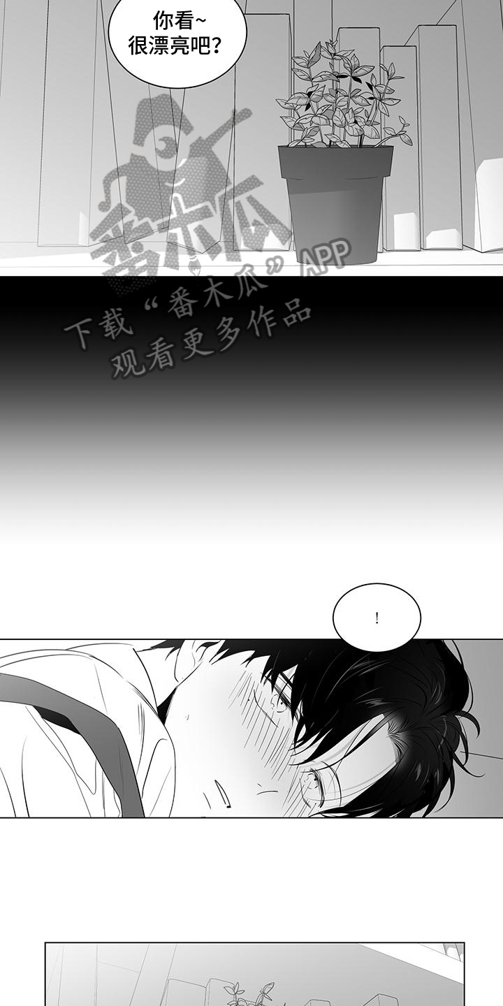 第10章：装饰6