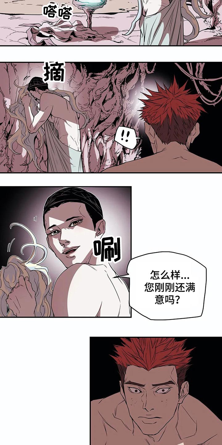 第50章：象征8