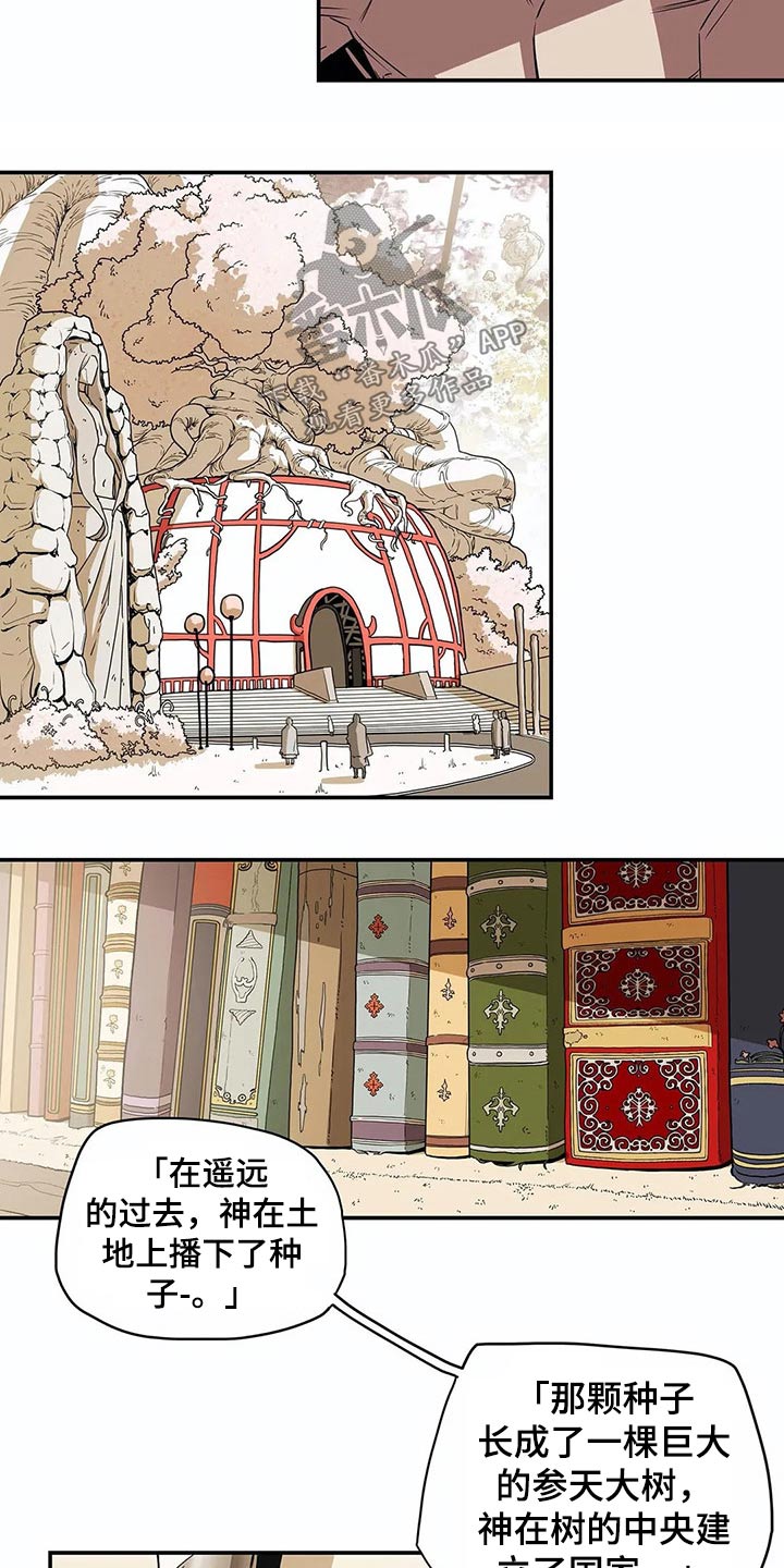 第50章：象征9