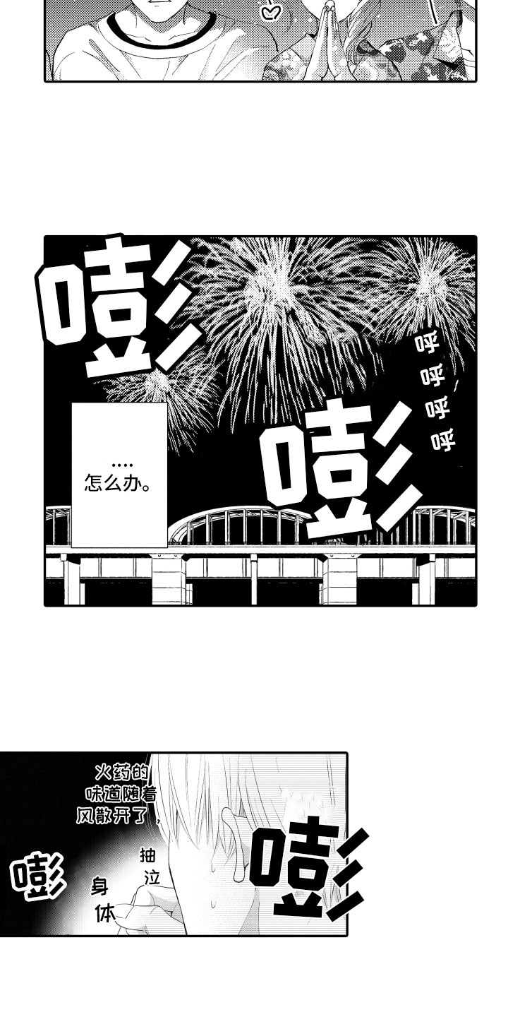第3章：烟花庆典11