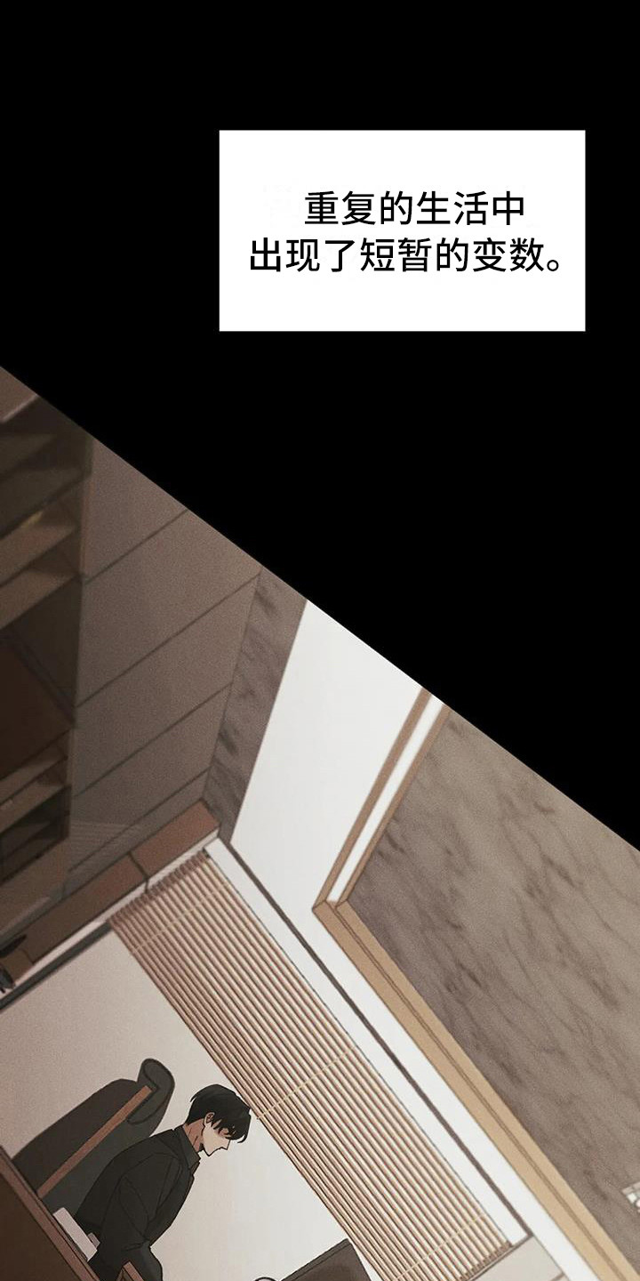 第12章：盲点：短暂的变数9