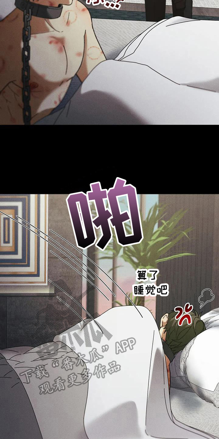 第12章：盲点：短暂的变数19