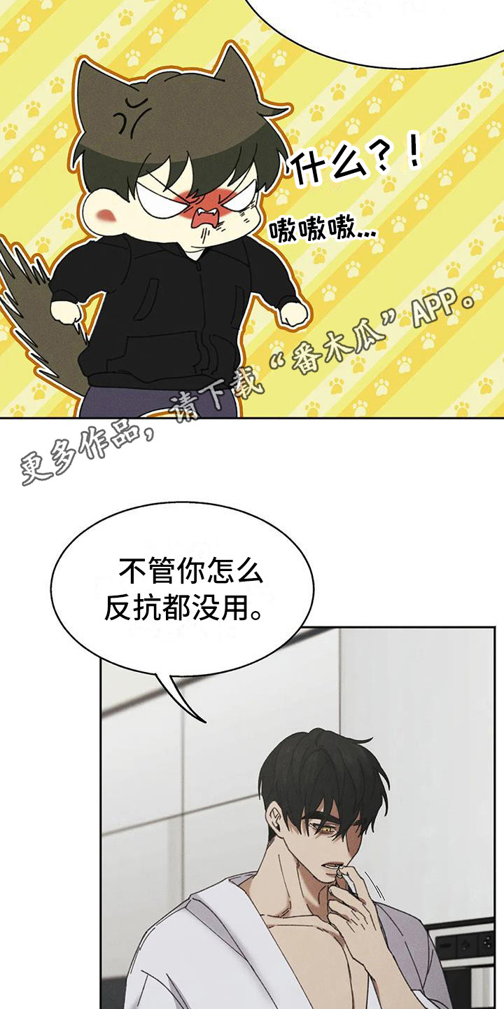 第5章：盲点：失去自由10