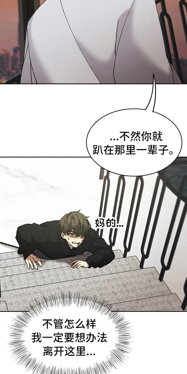 第5章：盲点：失去自由15