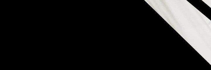 第12章：盲点：短暂的变数11