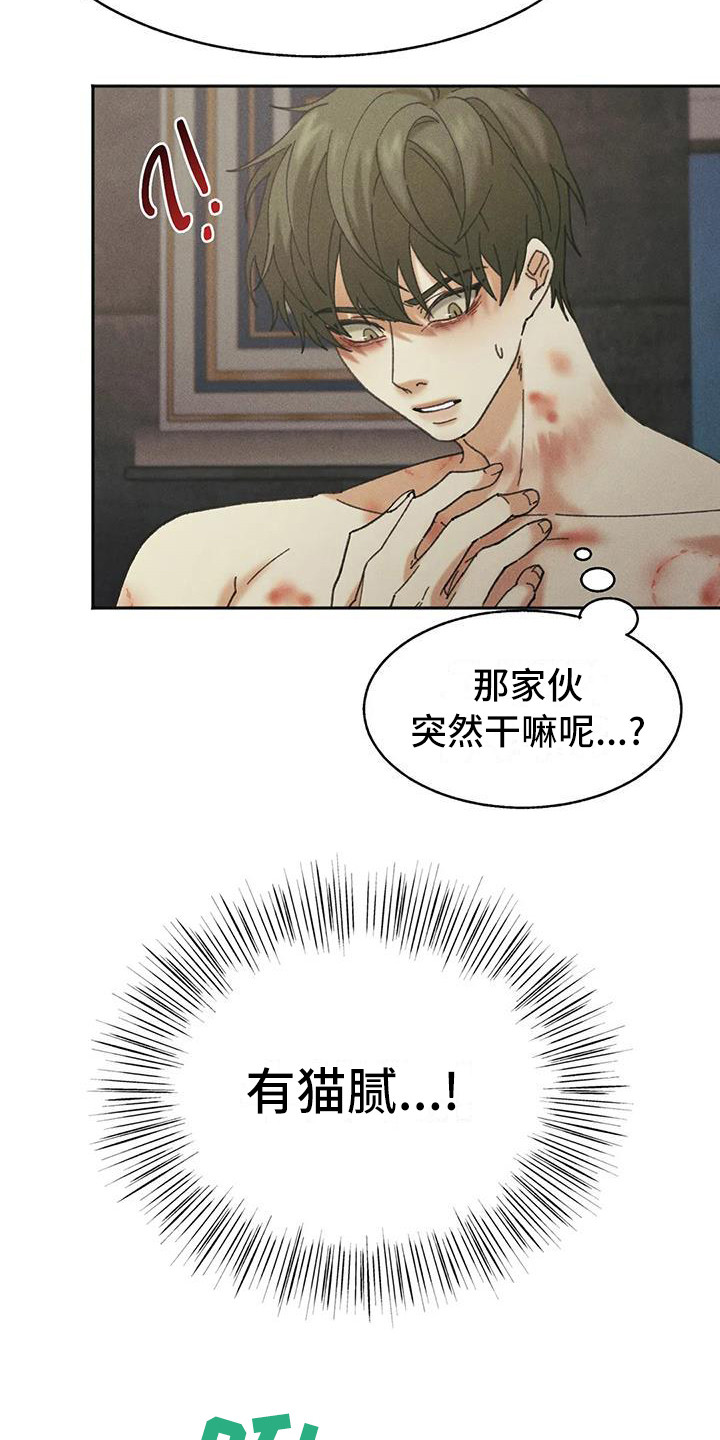 第8章：盲点：有猫腻18
