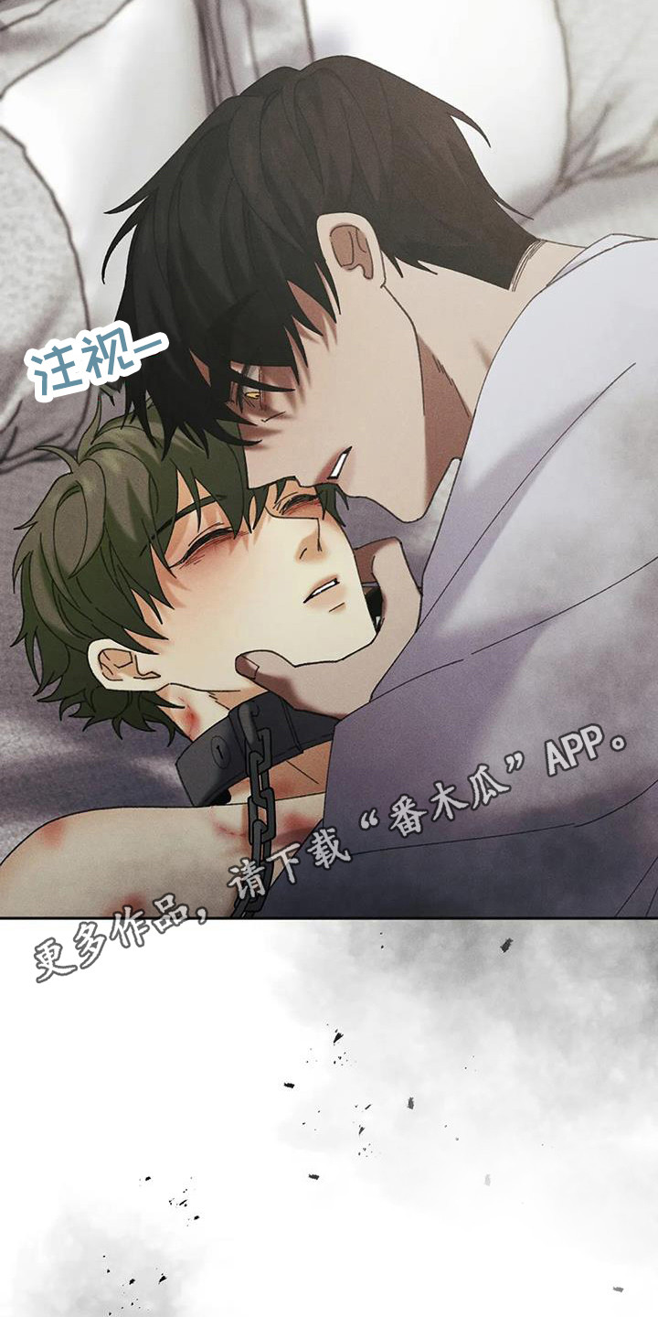 第8章：盲点：有猫腻4