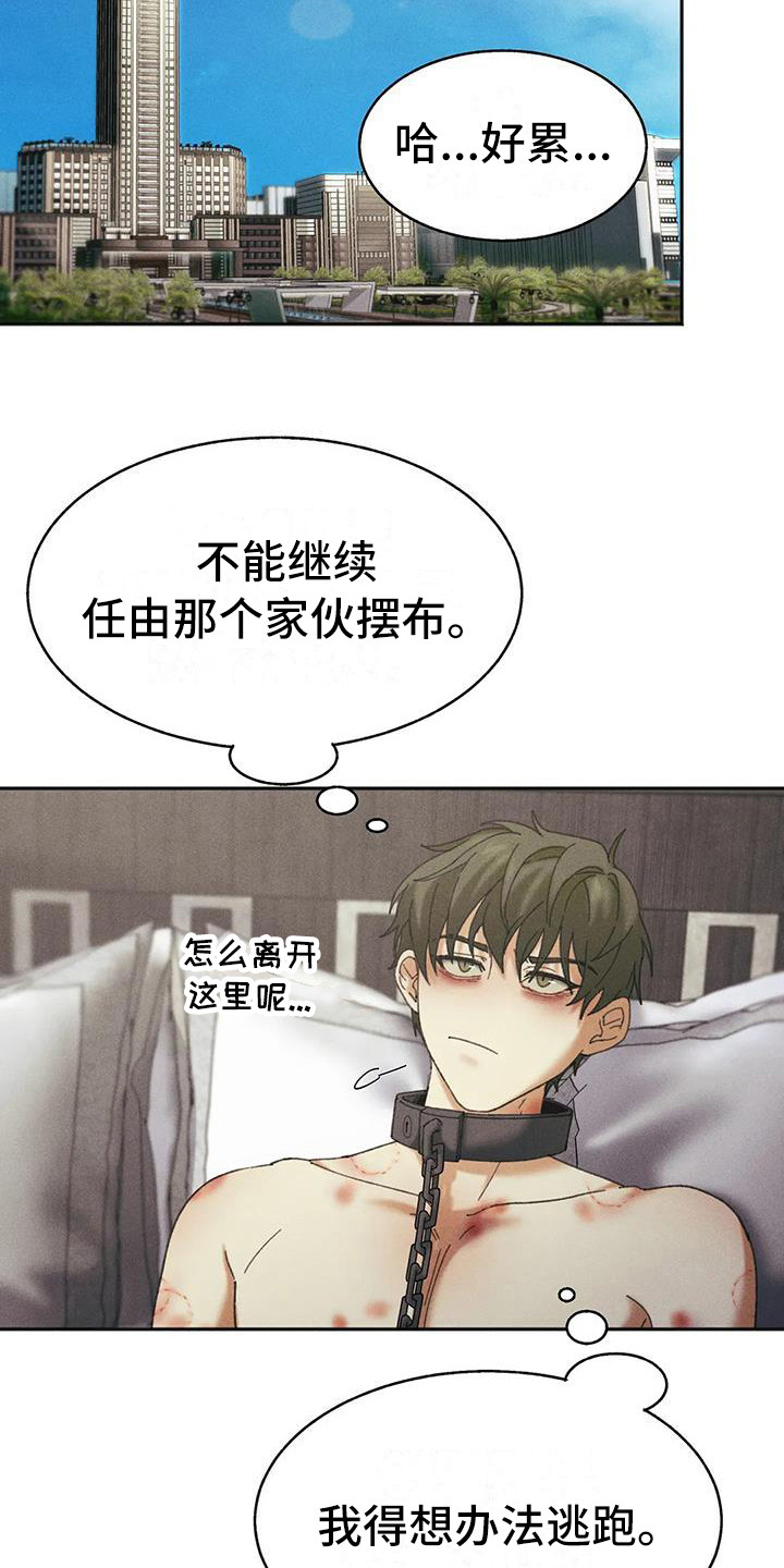 第8章：盲点：有猫腻8