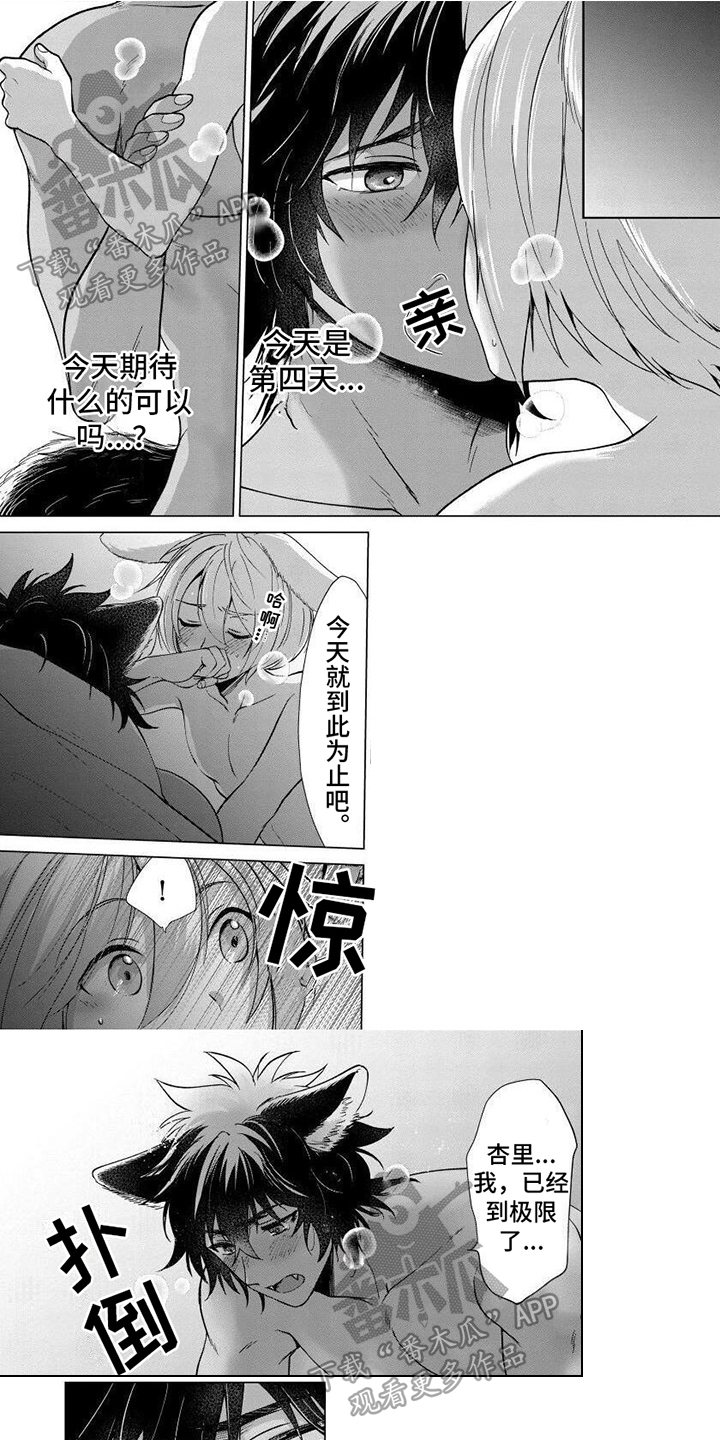 第16章：期待已久0