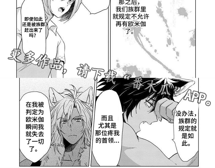 第8章：保护6