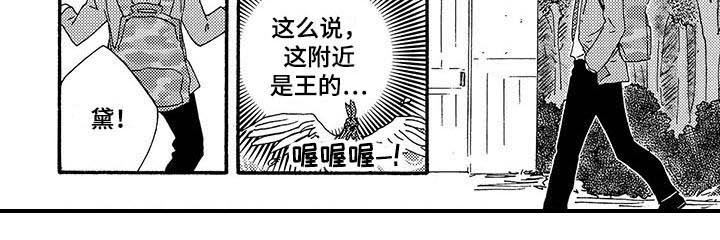 第14章：不正常6