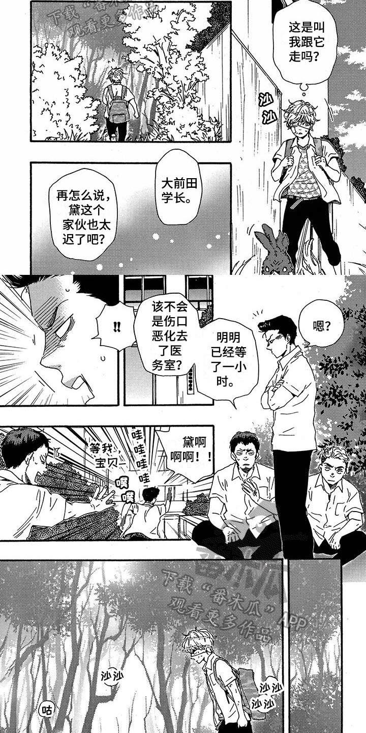 第29章：带路4