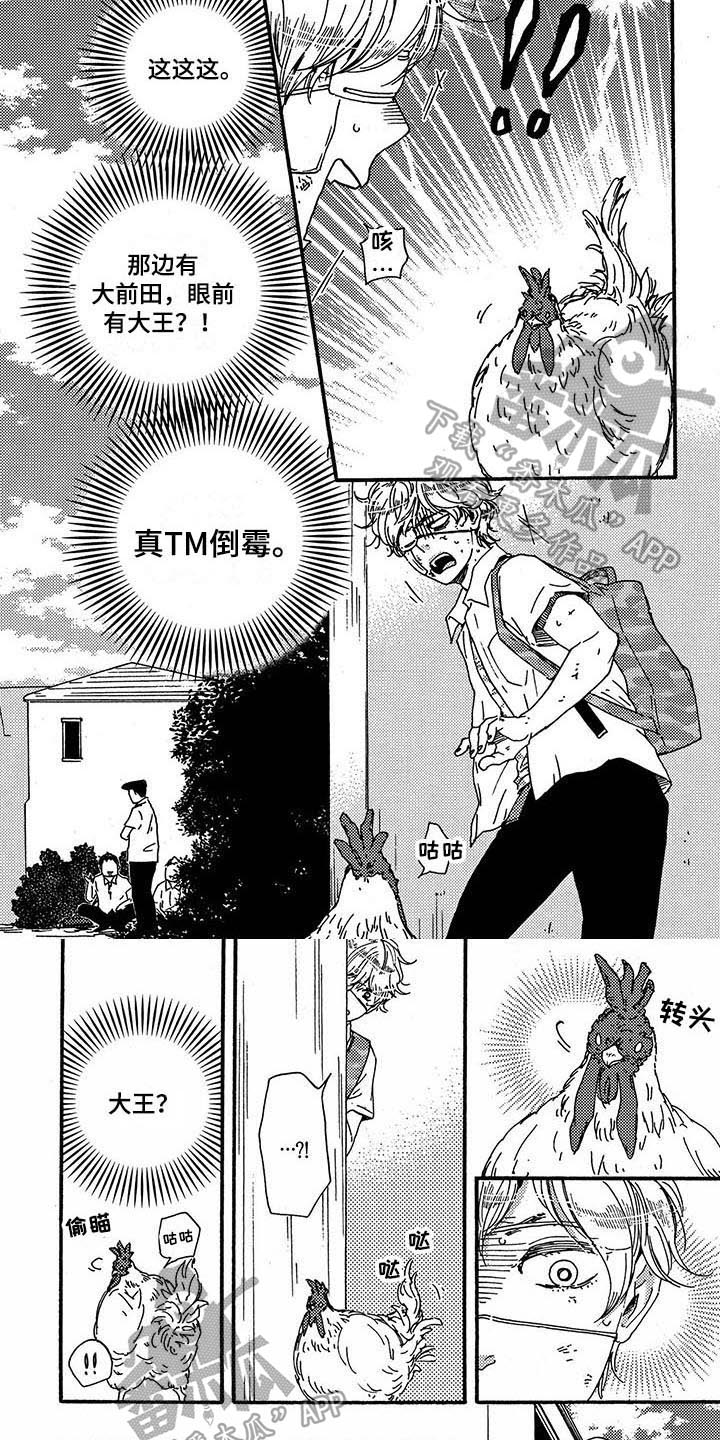 第29章：带路3