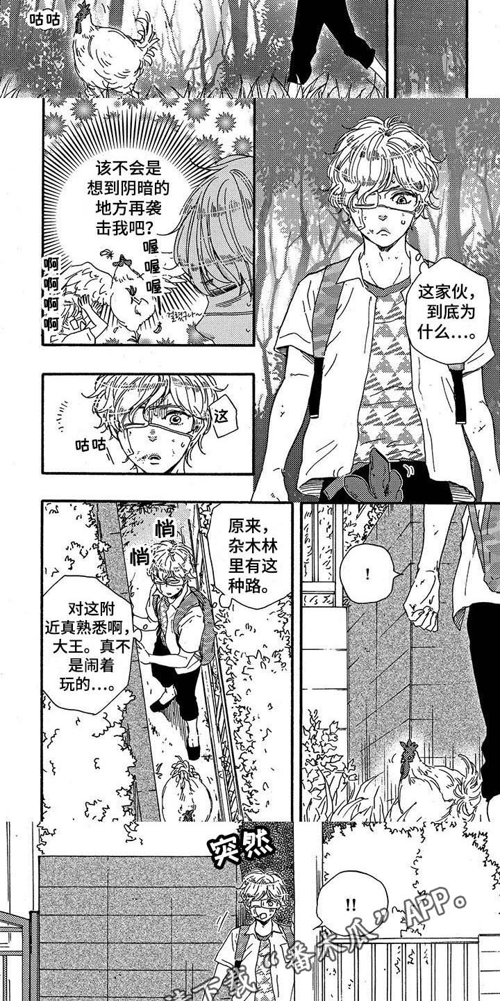 第29章：带路5