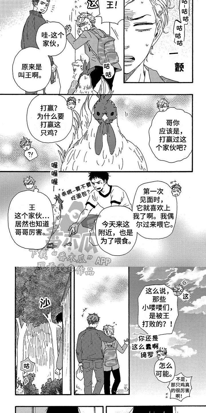 第16章：隐藏3