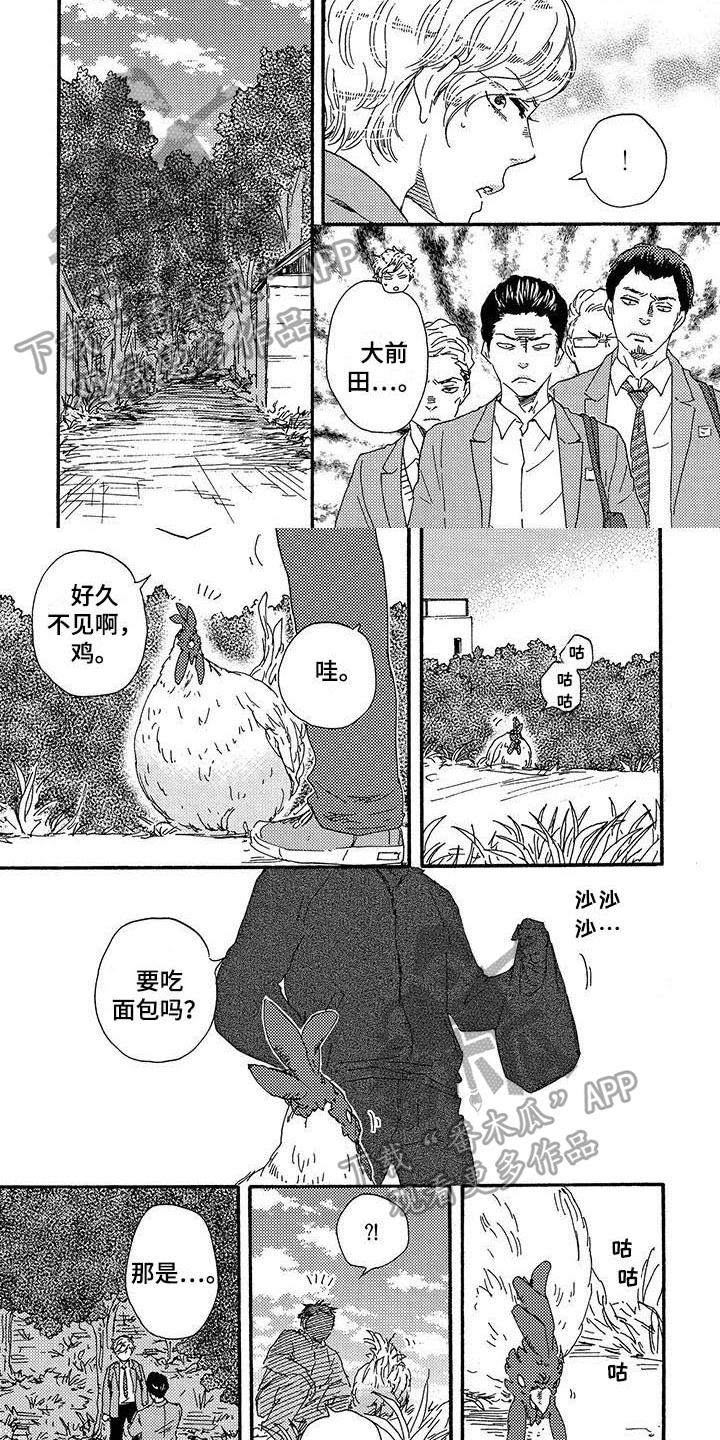 第15章：关键0