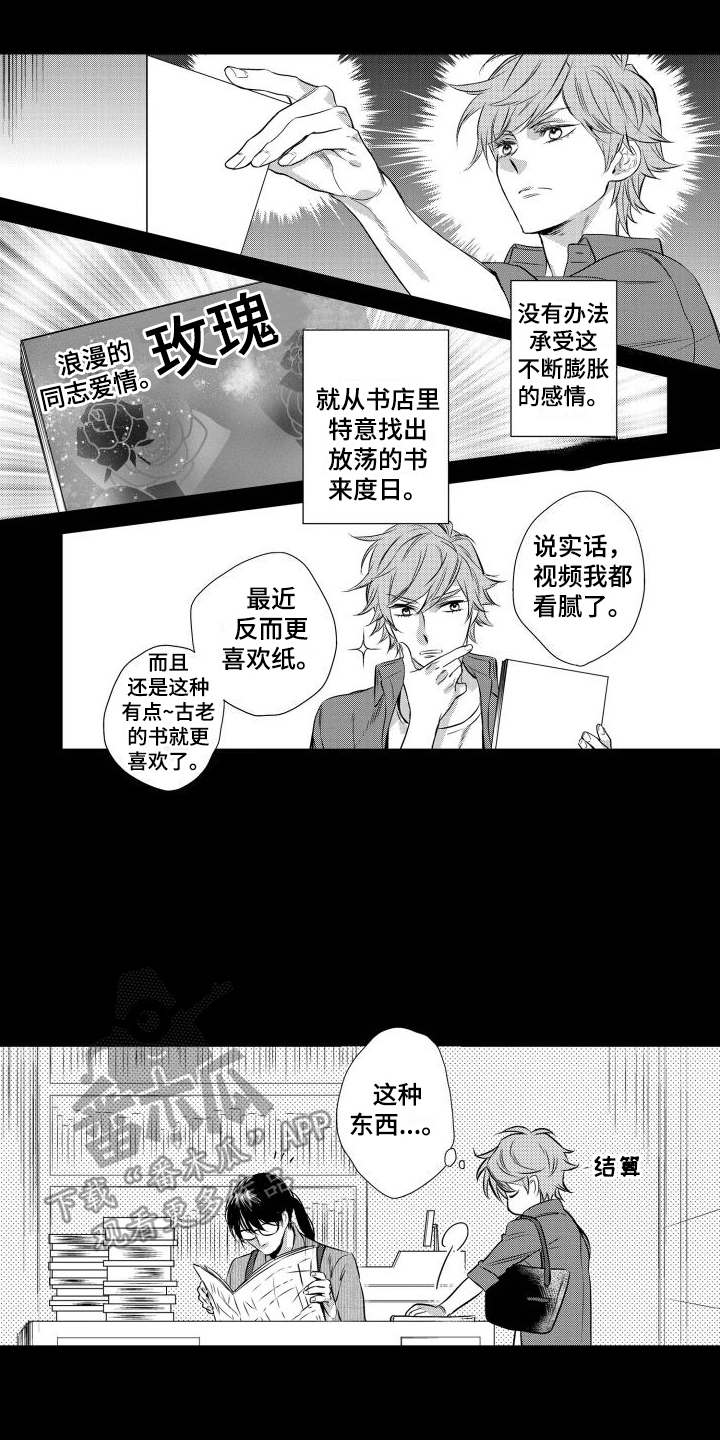 第13章：想法4
