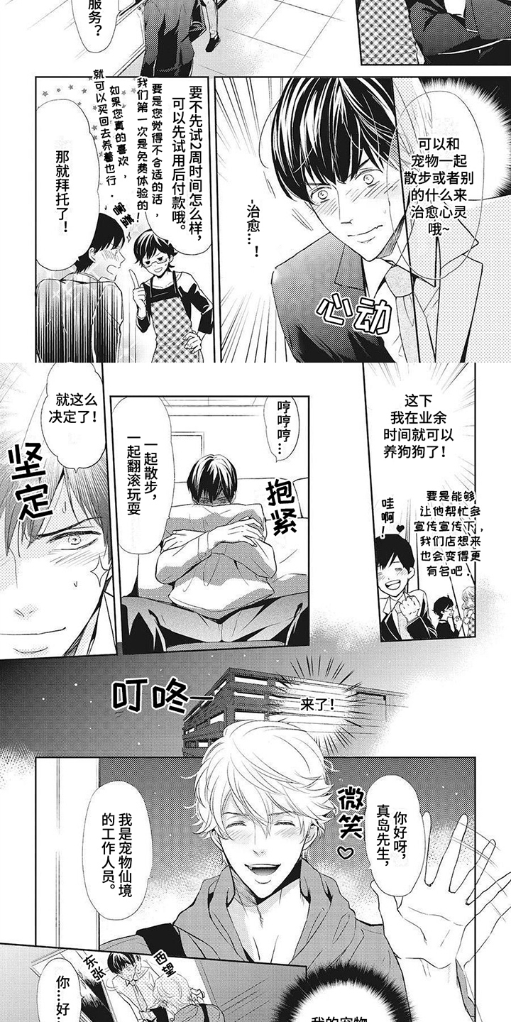 第5章：项圈3