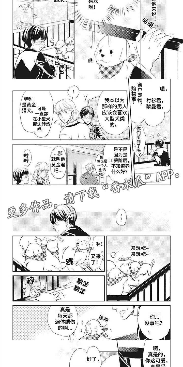 第5章：项圈1