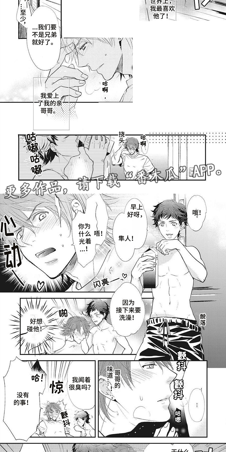 第12章：兄弟1