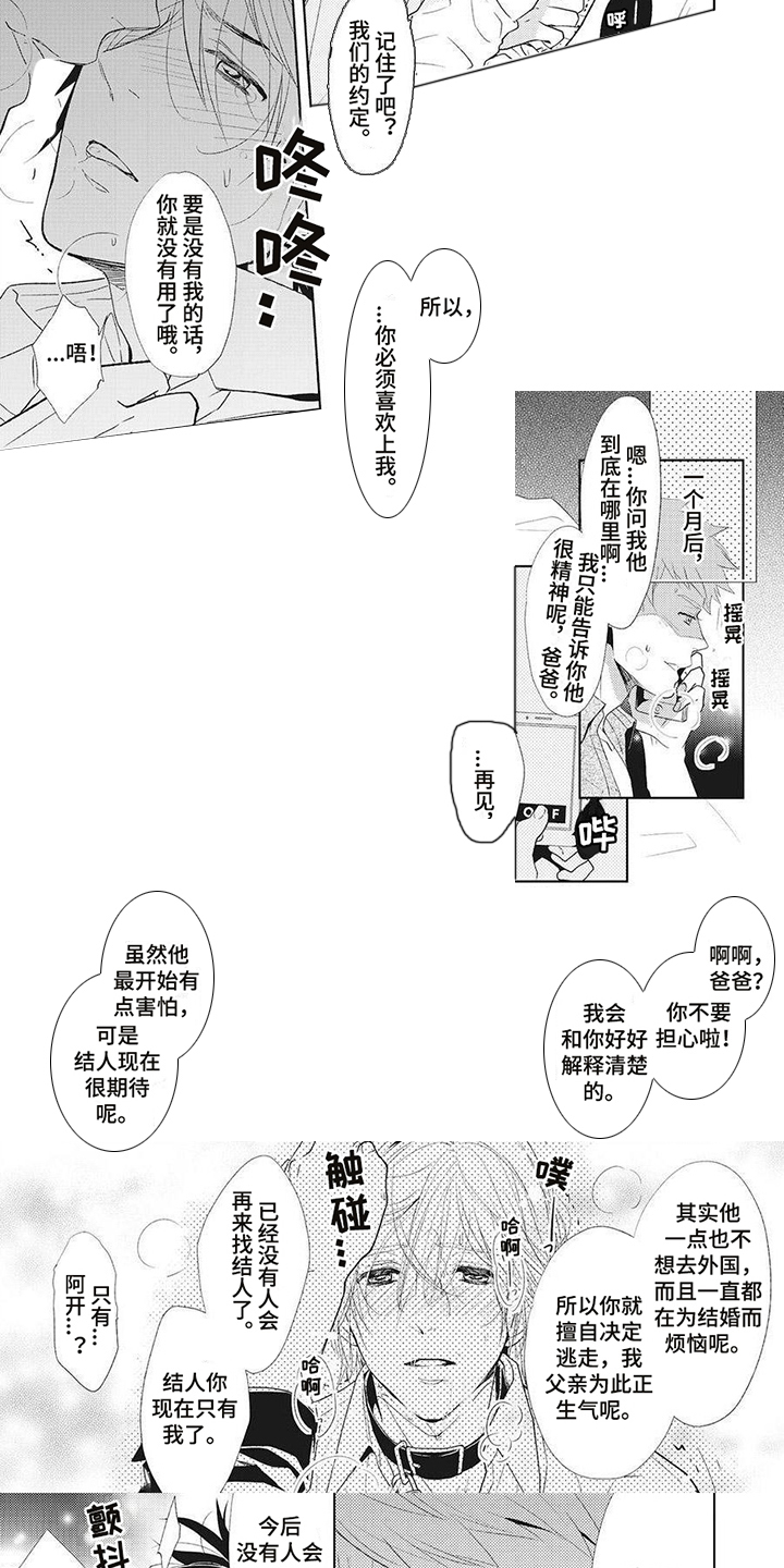 第15章：偏执5
