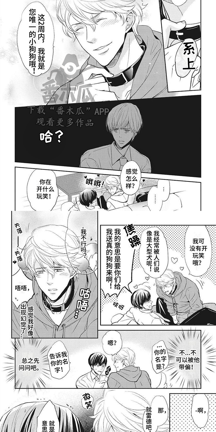 第5章：项圈5