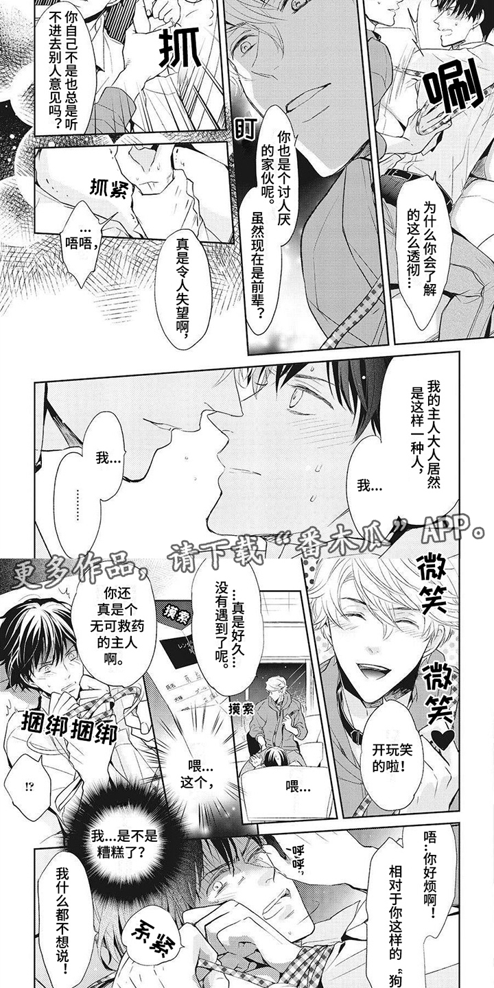 第6章：好好玩耍3