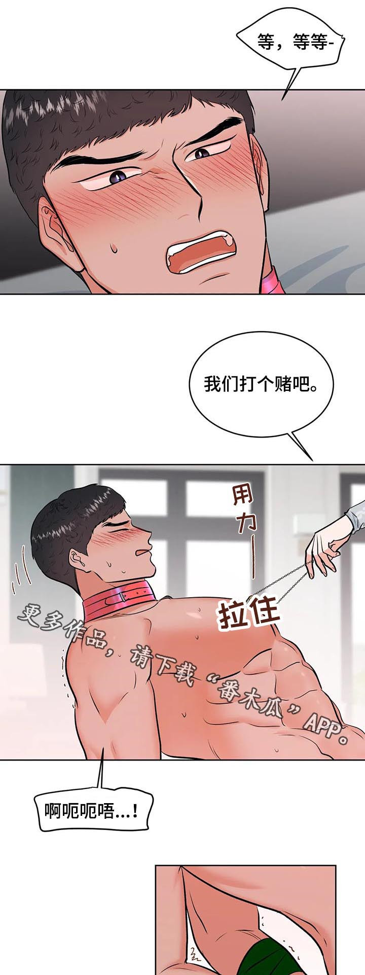 第29章：打赌17
