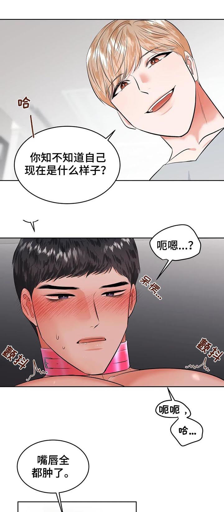 第29章：打赌7