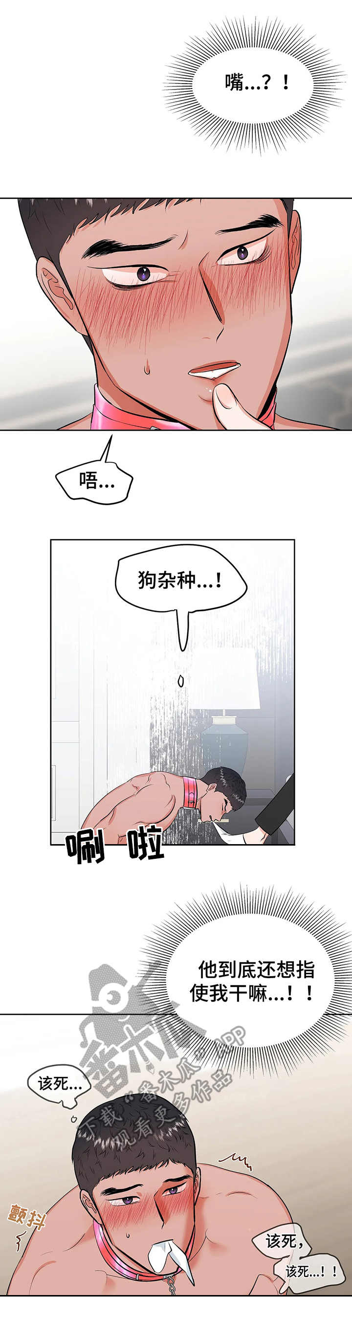 第23章：玩具0