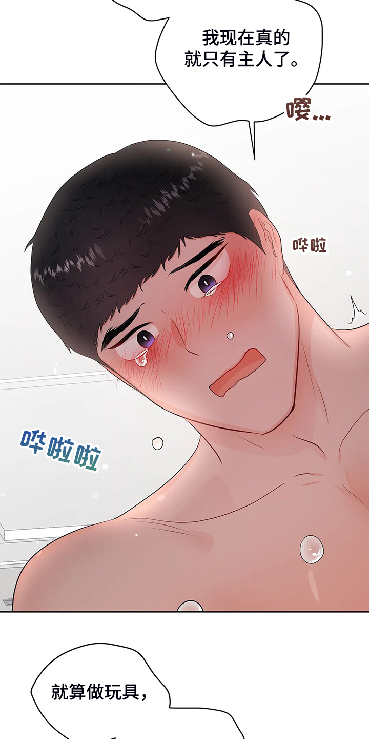 第98章：从什么时候开始12