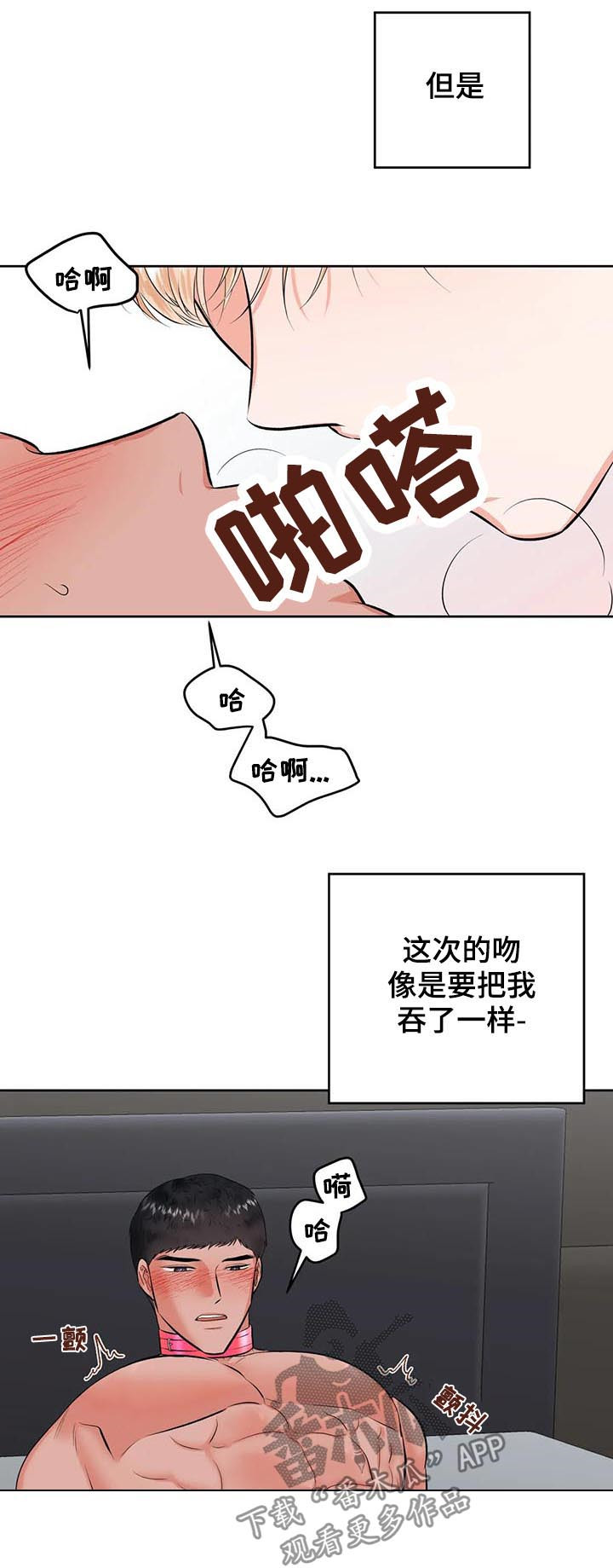 第29章：打赌6