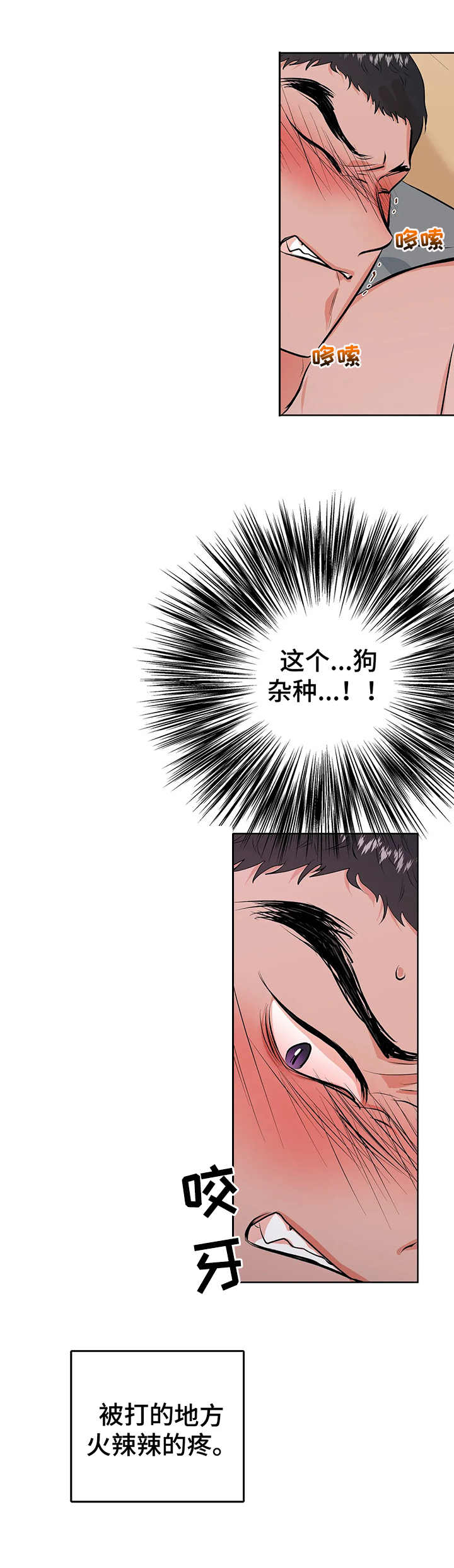 第9章：倔强11