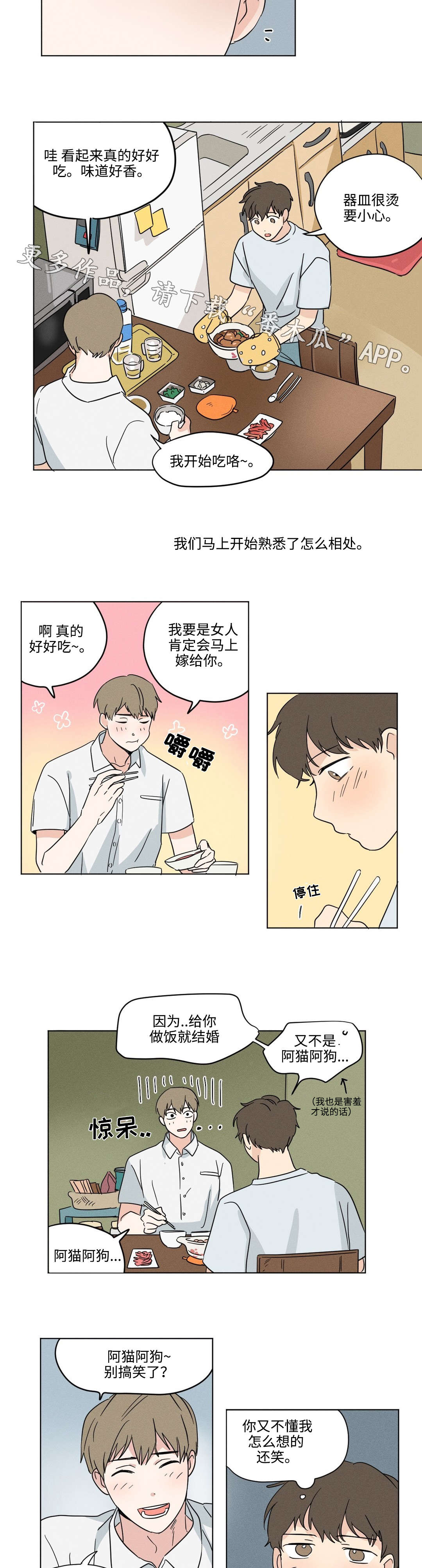 第29章：过去7