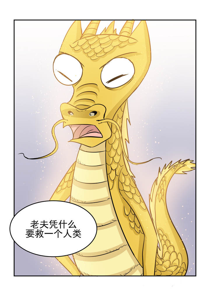 第176章：9
