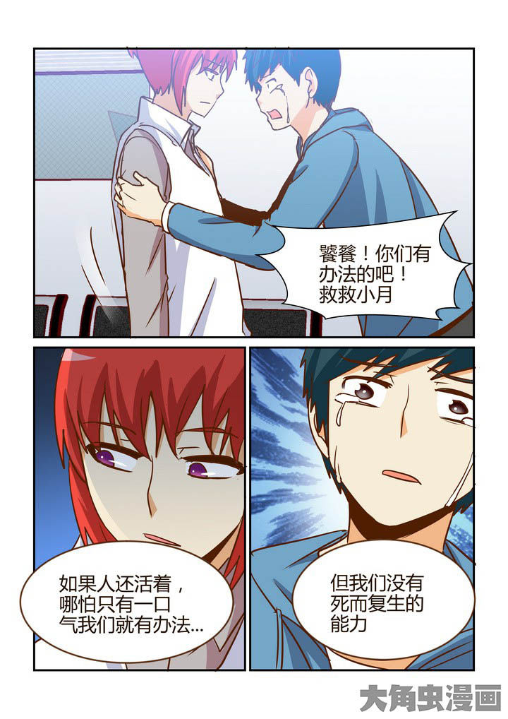 第272章：8