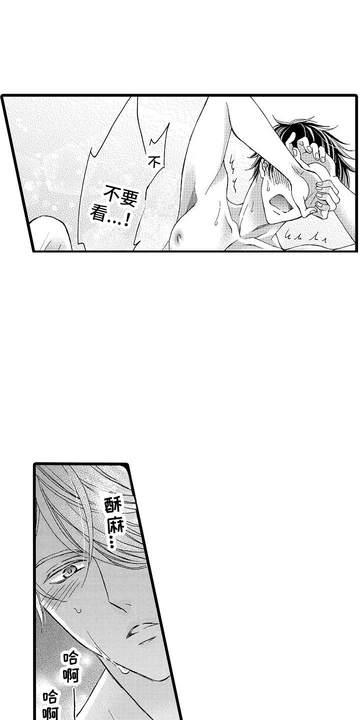 第13章：表情11