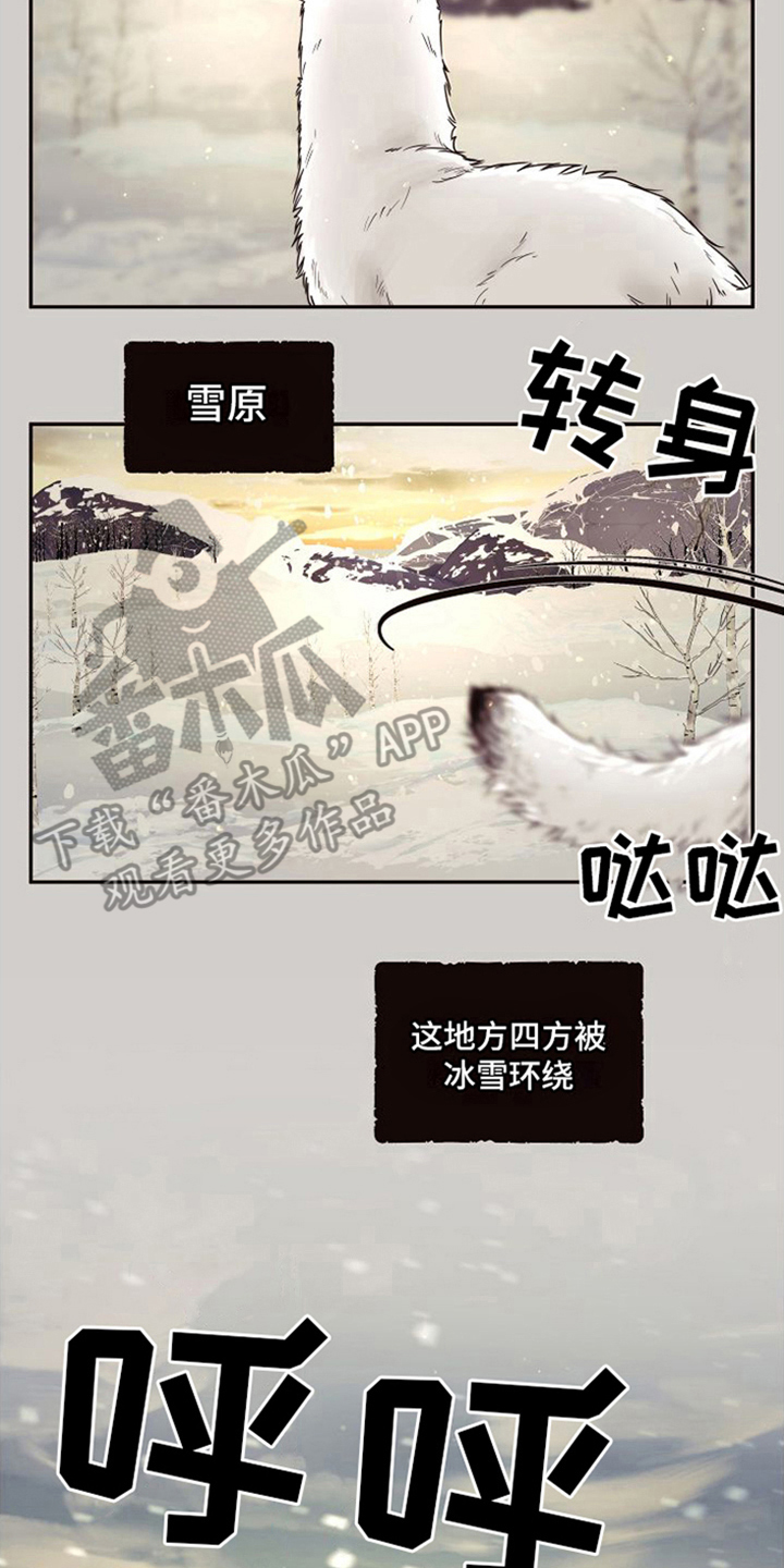 第15章：北极兔：雪国1