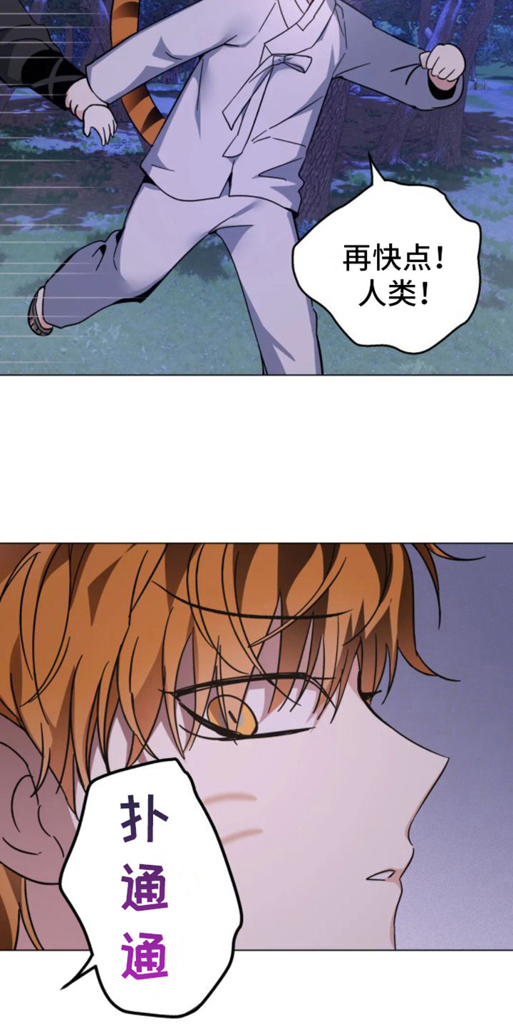 第44章：乱入的老虎：受伤了14