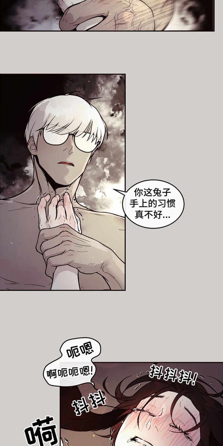 第19章：北极兔：忙碌6