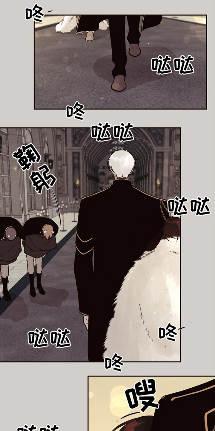 第17章：北极兔：跟随14