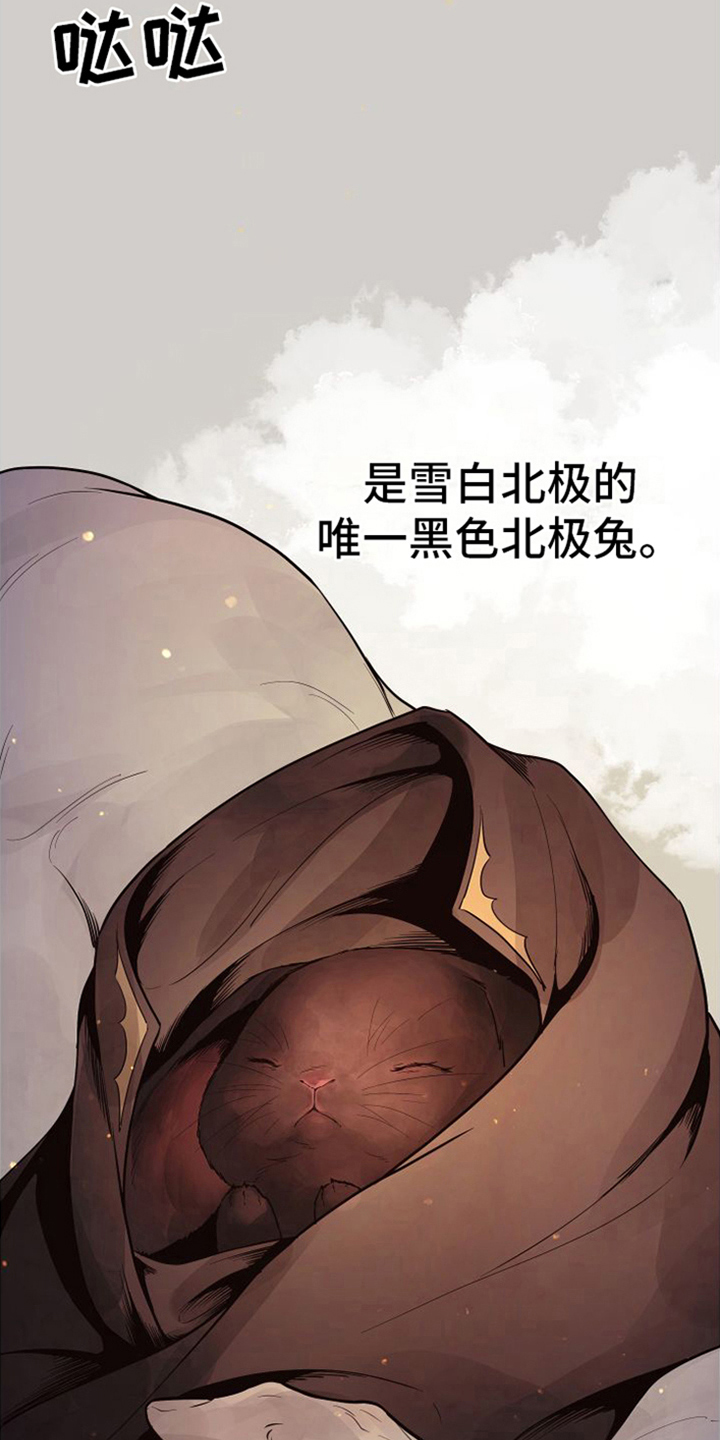 第22章：北极兔：唯一的黑色（完）14